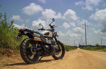 Triumph Street Scrambler 2020 - Bild 6 Triumph Street Scrambler 2020 - Bild 6