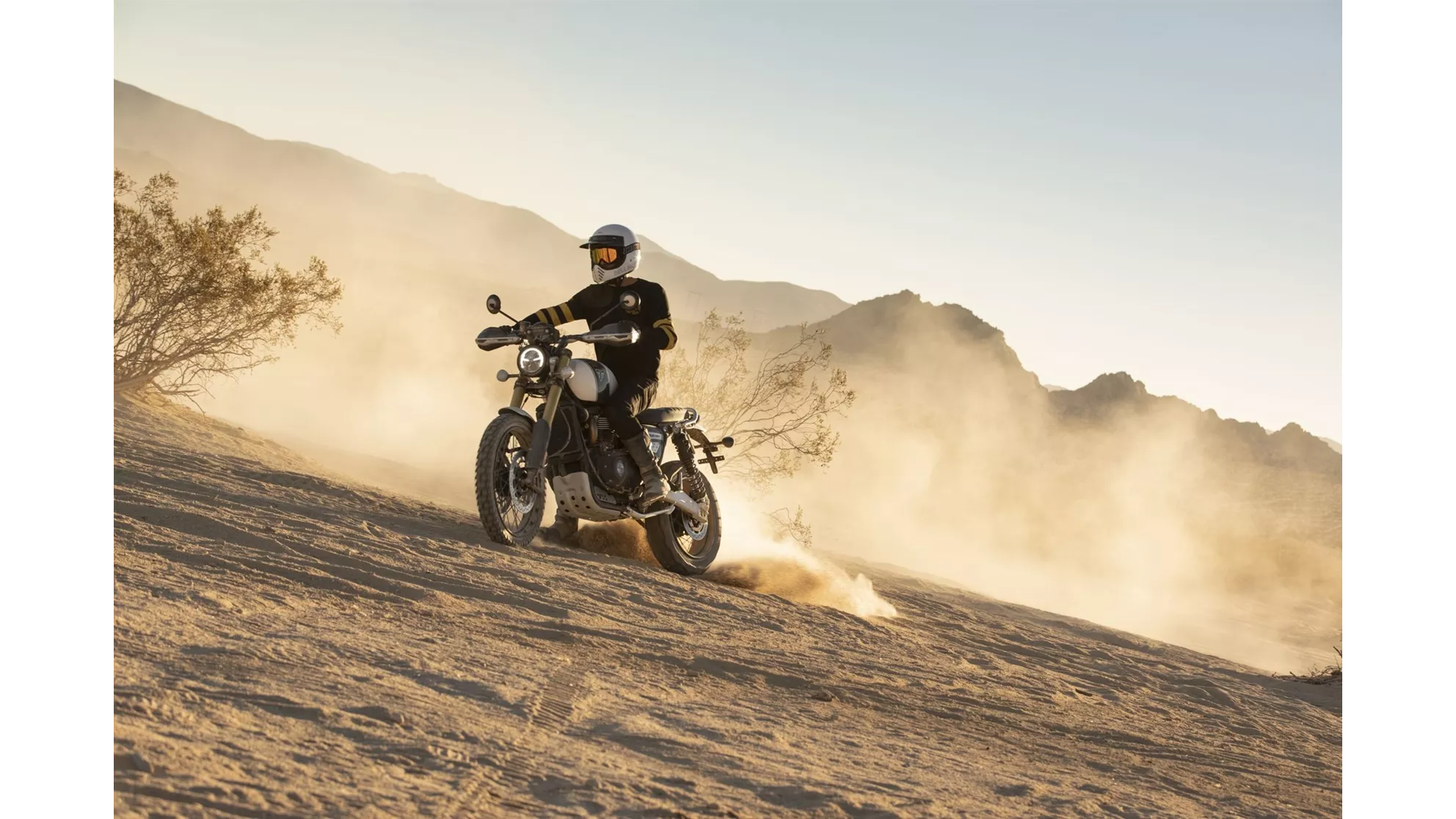 Triumph Scrambler 1200 XE - Image 7 Triumph Scrambler 1200 XE - Image 7