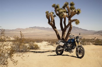 Triumph Scrambler 1200 XE 2020 - Bild 11 Triumph Scrambler 1200 XE 2020 - Bild 11