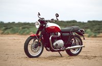 Triumph Bonneville T100 Bud Ekins Special Edition 2020 - Bild 1