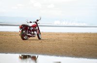 Triumph Bonneville T100 Bud Ekins Special Edition 2020 - Bild 7