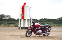 Triumph Bonneville T100 Bud Ekins Special Edition 2020 - Bild 10