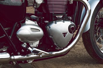 Triumph Bonneville T100 Bud Ekins Special Edition 2020 - Bild 13