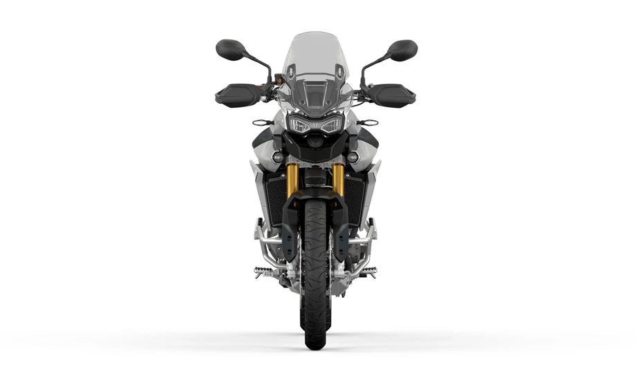 Triumph Tiger 900 Rally Pro Bild 11: Triumph Tiger 900 Rally Pro