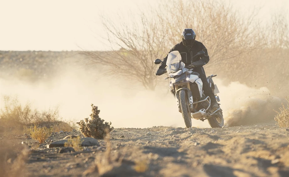 Triumph Tiger 900 Rally Pro Bild 21: Triumph Tiger 900 Rally Pro