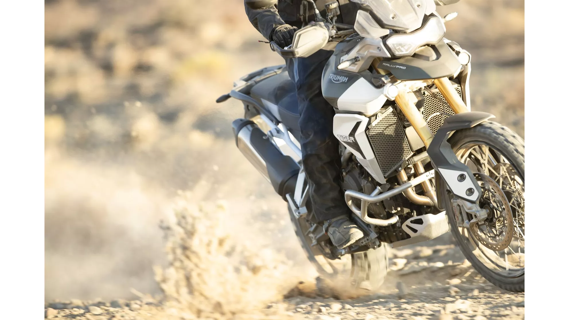 Triumph Tiger 900 Rally Pro 2020 - Immagine 60 Triumph Tiger 900 Rally Pro 2020 - Immagine 60