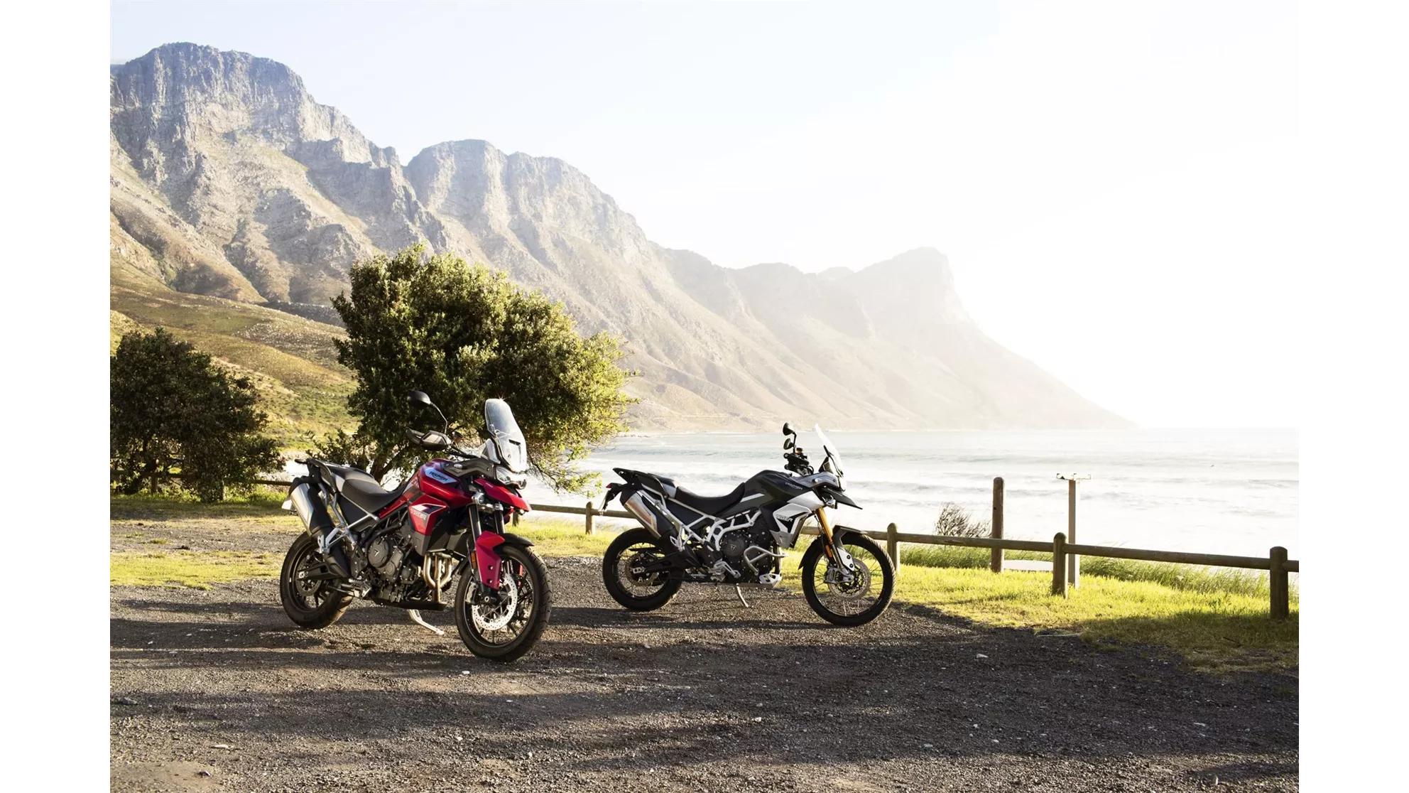 Triumph Tiger 900 Rally Pro 2020 - Immagine 72 Triumph Tiger 900 Rally Pro 2020 - Immagine 72