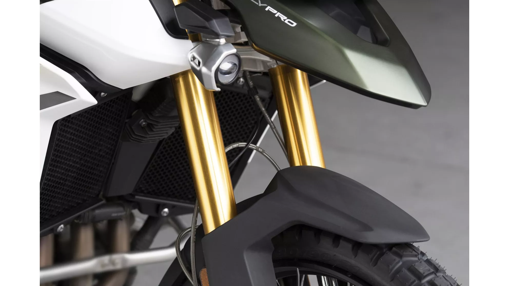 Triumph Tiger 900 Rally Pro 2020 - Immagine 73 Triumph Tiger 900 Rally Pro 2020 - Immagine 73