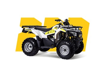 Access Shade 200 2020 - Image 4