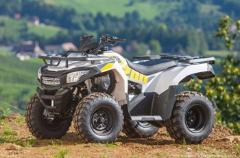 Access Shade 200 2020 - Image 7