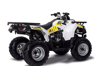 Access Shade 200 2020 - Image 9