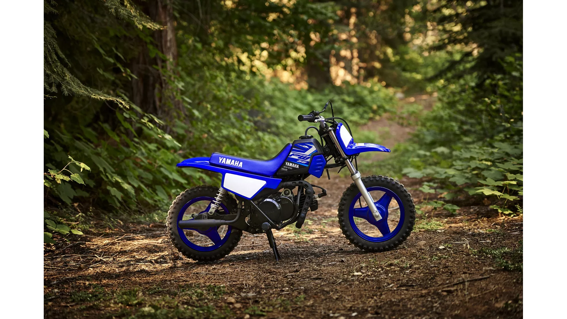 Yamaha PW50 - Image 3 Yamaha PW50 - Image 3