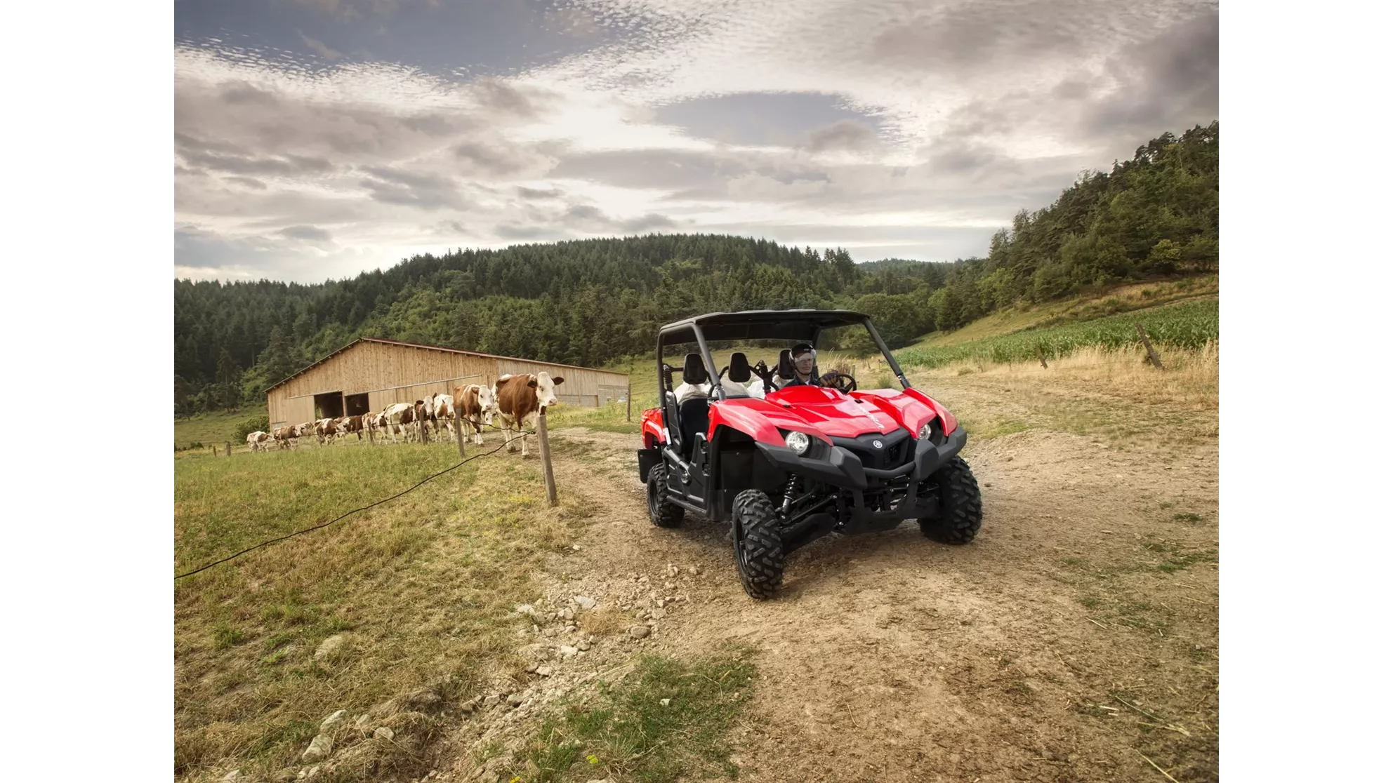 Yamaha Viking - Imagem 1 Yamaha Viking - Imagem 1