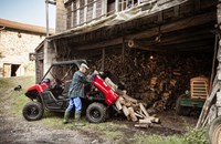 Yamaha Viking 2020 - Bild 14