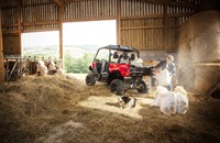 Yamaha Viking 2020 - Bild 15