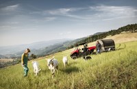 Yamaha Viking 2020 - Bild 16