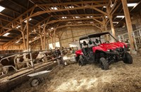 Yamaha Viking 2020 - Bild 17