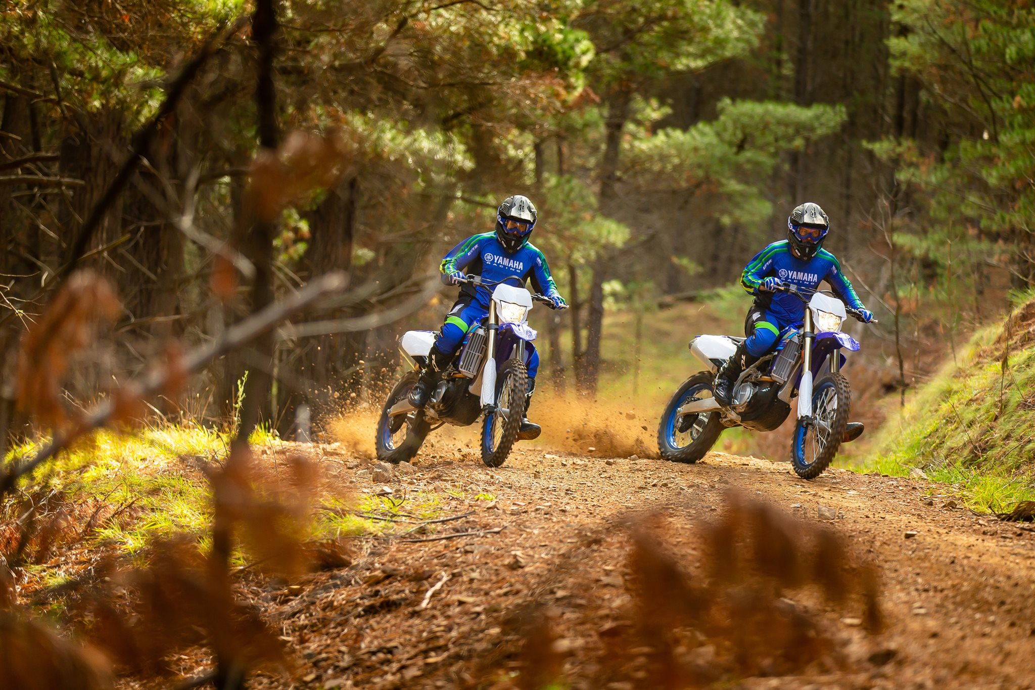 Yamaha wr250f 2020