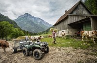 Yamaha Kodiak 700 EPS Alu 2020 - Bild 7