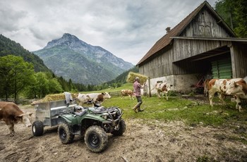 Yamaha Kodiak 700 EPS SE 2020 - Bild 7