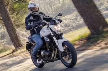 Benelli BN 302 2020 - Bild 9 Benelli BN 302 2020 - Bild 9