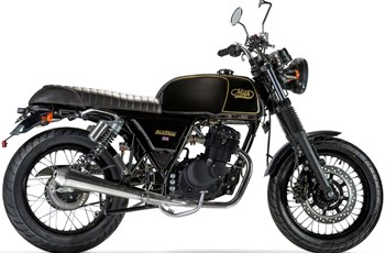 Mash Black Seven 2020 - Bild 2