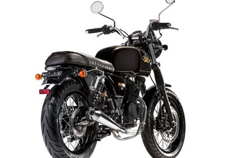 Mash Black Seven 2020 - Bild 3