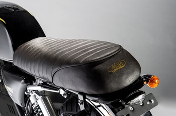 Mash Black Seven 2020 - Bild 4