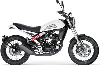 Mash Falcone 125 2020 - Bild 21