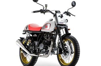 Mash Dirt Track 125 2020 - Bild 10