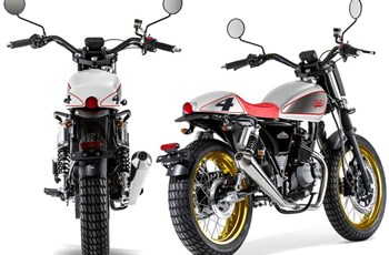 Mash Dirt Track 125 2020 - Bild 13