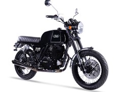 Mash Black Seven 250