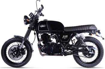 Mash Black Seven 250 2020 - Bild 8 Mash Black Seven 250 2020 - Bild 8