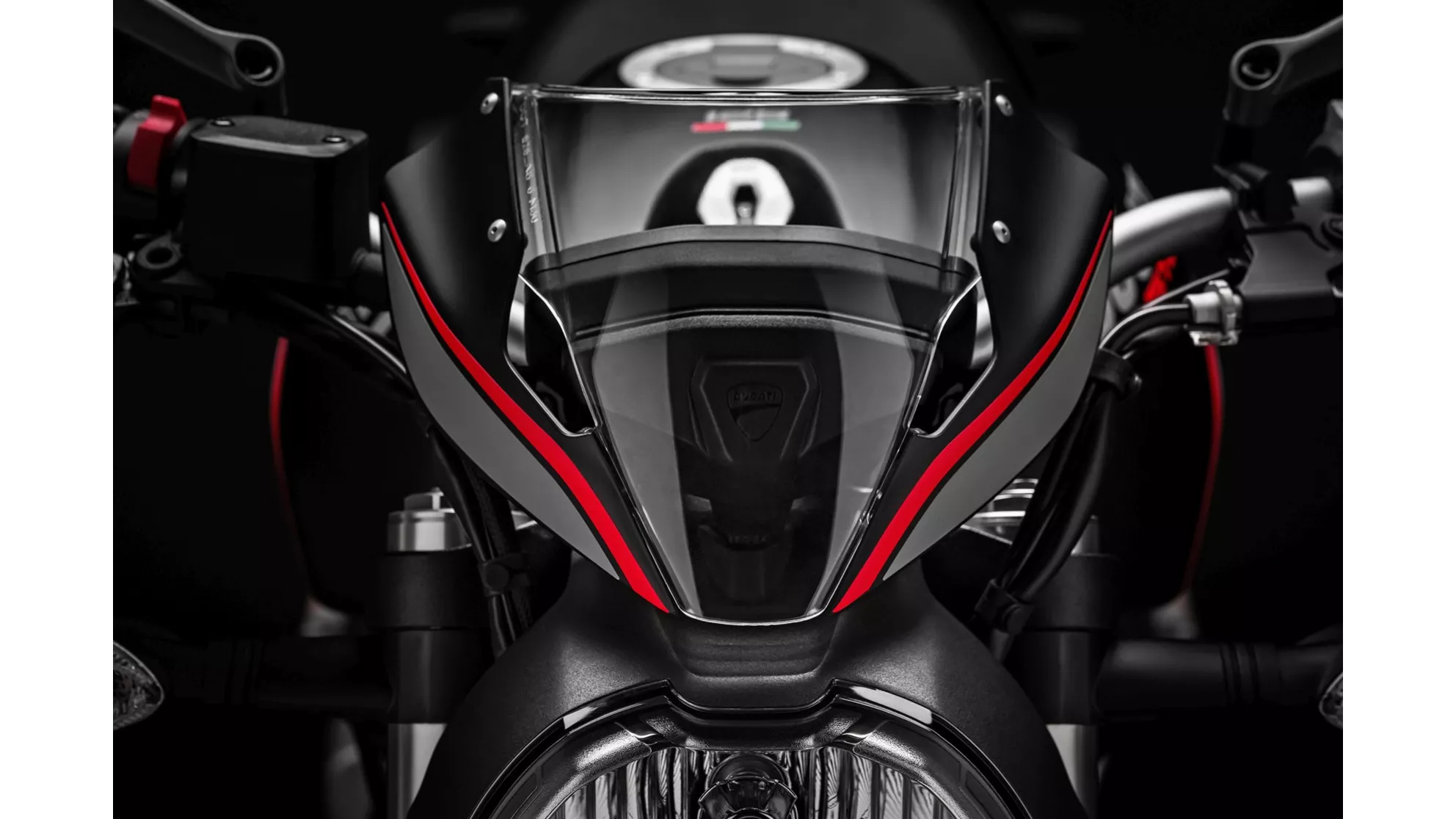 Ducati Monster 821 Stealth - Resim 10