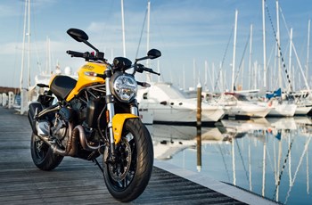 Ducati Monster 821 2020 - Bild 11 Ducati Monster 821 2020 - Bild 11