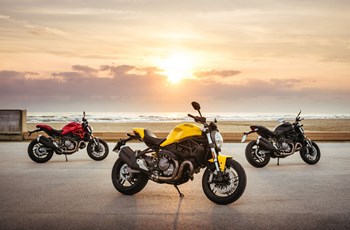 Ducati Monster 821 2020 - Bild 13 Ducati Monster 821 2020 - Bild 13