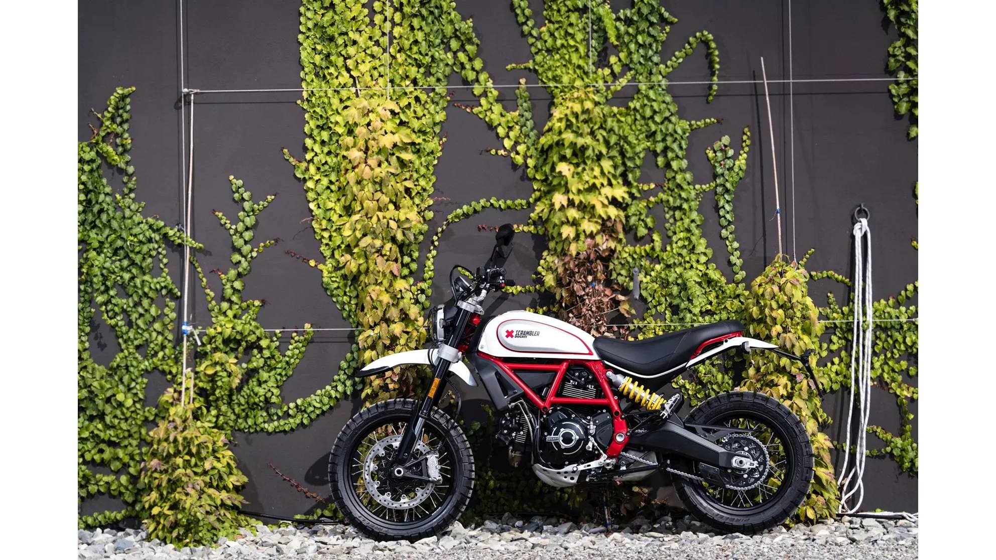 Ducati Scrambler Desert Sled - Image 2 Ducati Scrambler Desert Sled - Image 2