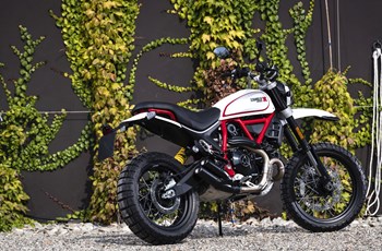 Ducati Scrambler Desert Sled 2020 - Bild 5 Ducati Scrambler Desert Sled 2020 - Bild 5