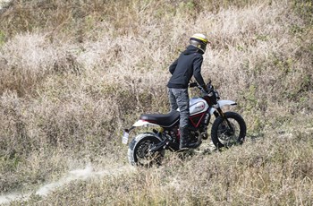 Ducati Scrambler Desert Sled 2020 - Bild 6 Ducati Scrambler Desert Sled 2020 - Bild 6