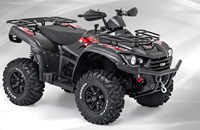 TGB Blade 600 EFI 4x4 IRS 2020 - Bild 5