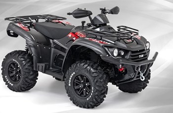 TGB Blade 600 EFI 4x4 IRS 2020 - Bild 5
