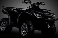 TGB Blade 600 EFI 4x4 IRS Black Edition 2020 - Bild 3