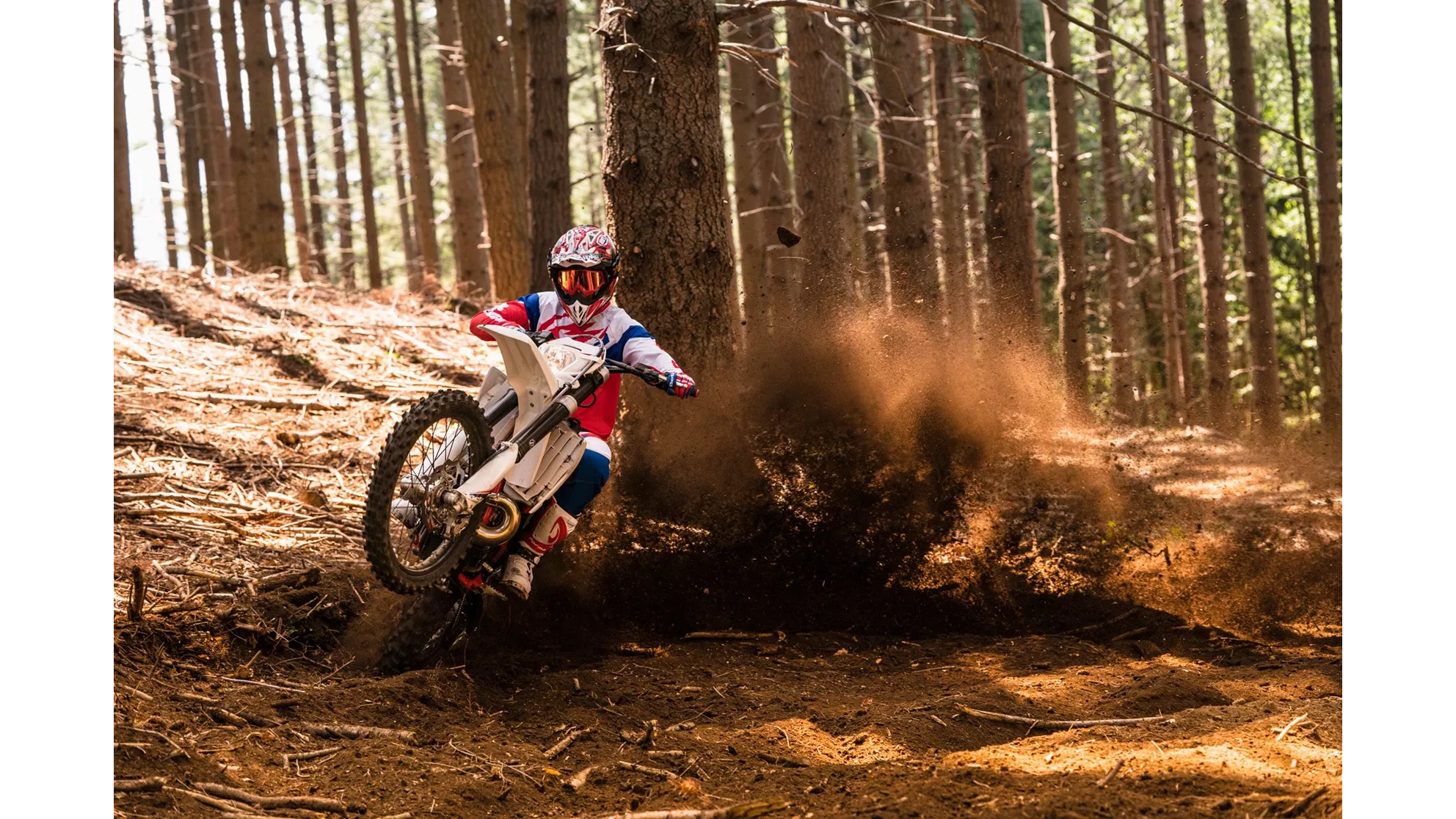 Beta RR 350 4T - Image 1 Beta RR 350 4T - Image 1