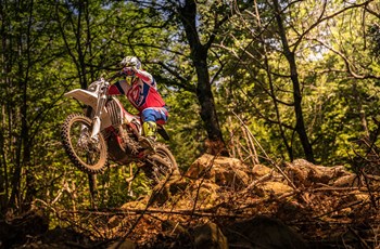 Beta RR 250 2T 2020 - Bild 3