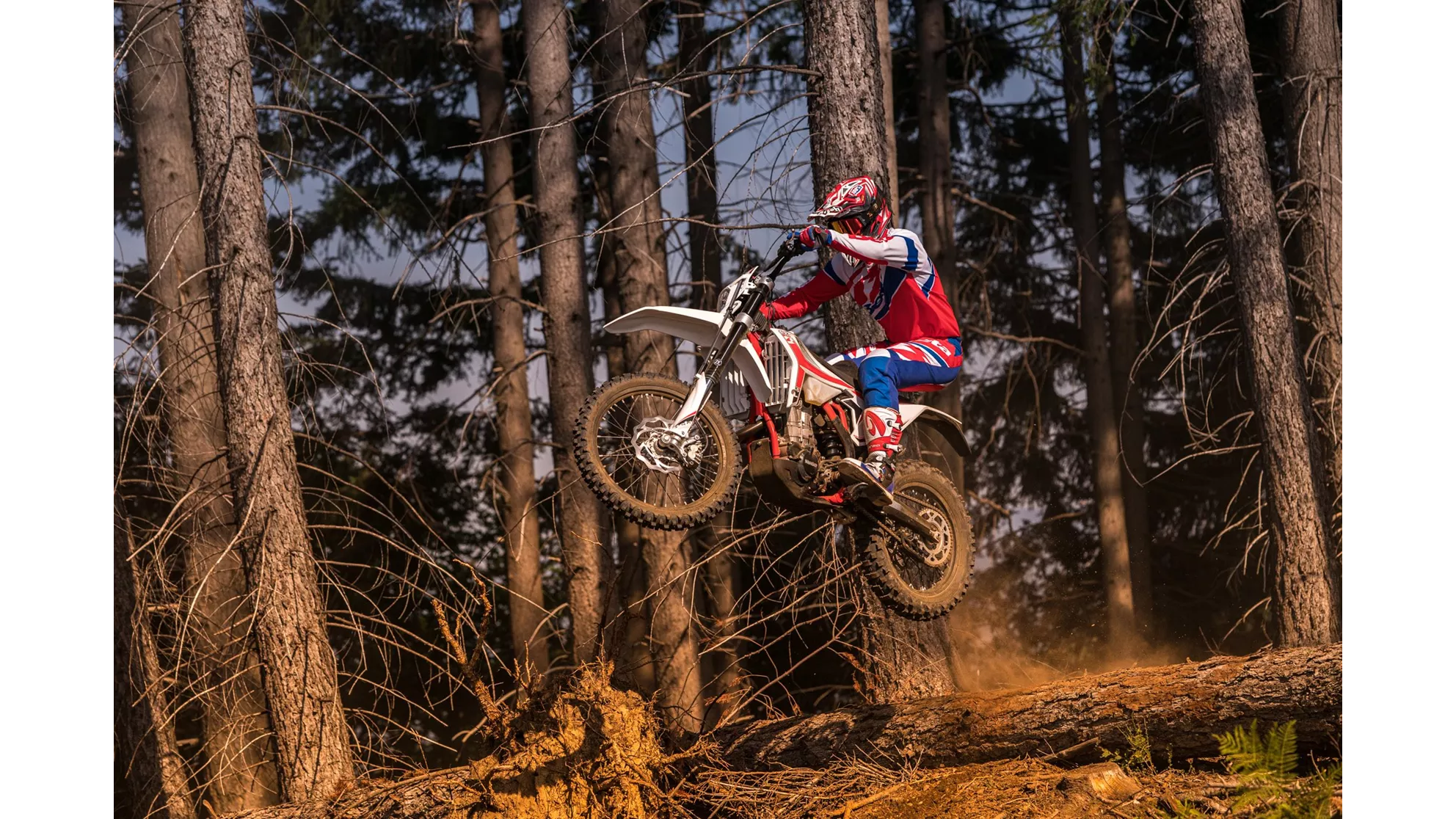 Beta RR 250 2T - Image 5 Beta RR 250 2T - Image 5