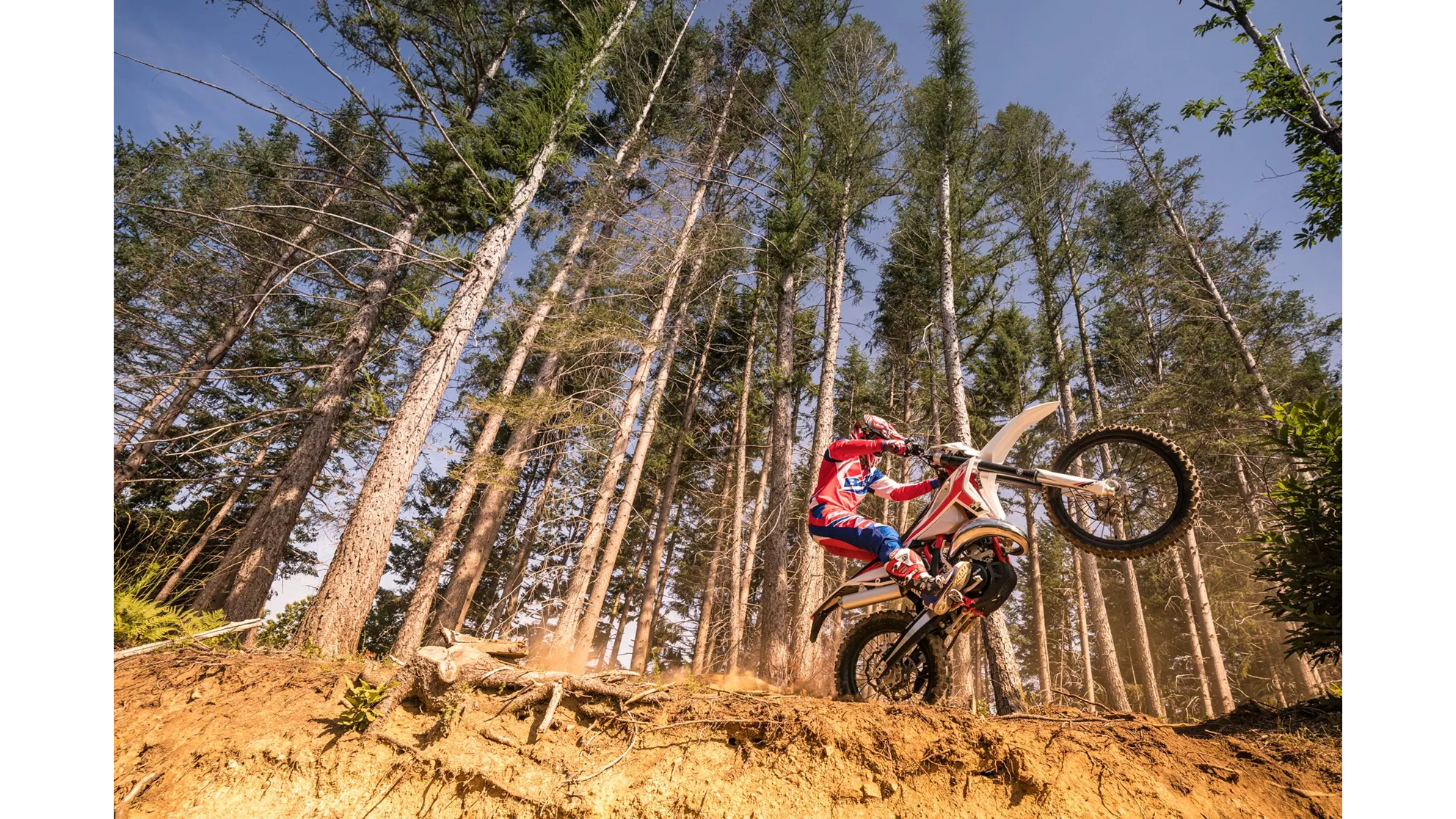 Beta RR 250 2T - Image 9 Beta RR 250 2T - Image 9