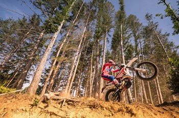 Beta RR 250 2T 2020 - Bild 11