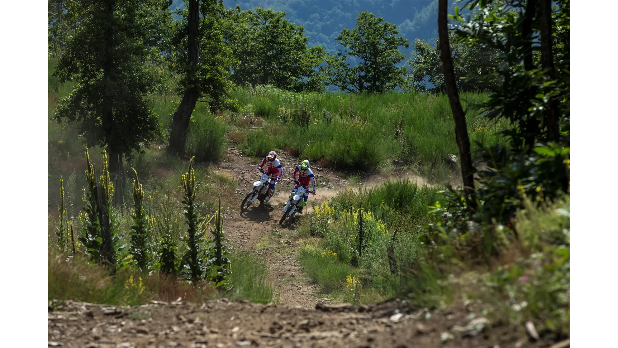 Beta RR 250 2T - Image 17 Beta RR 250 2T - Image 17