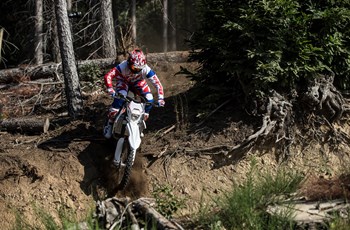 Beta RR 250 2T 2020 - Bild 14