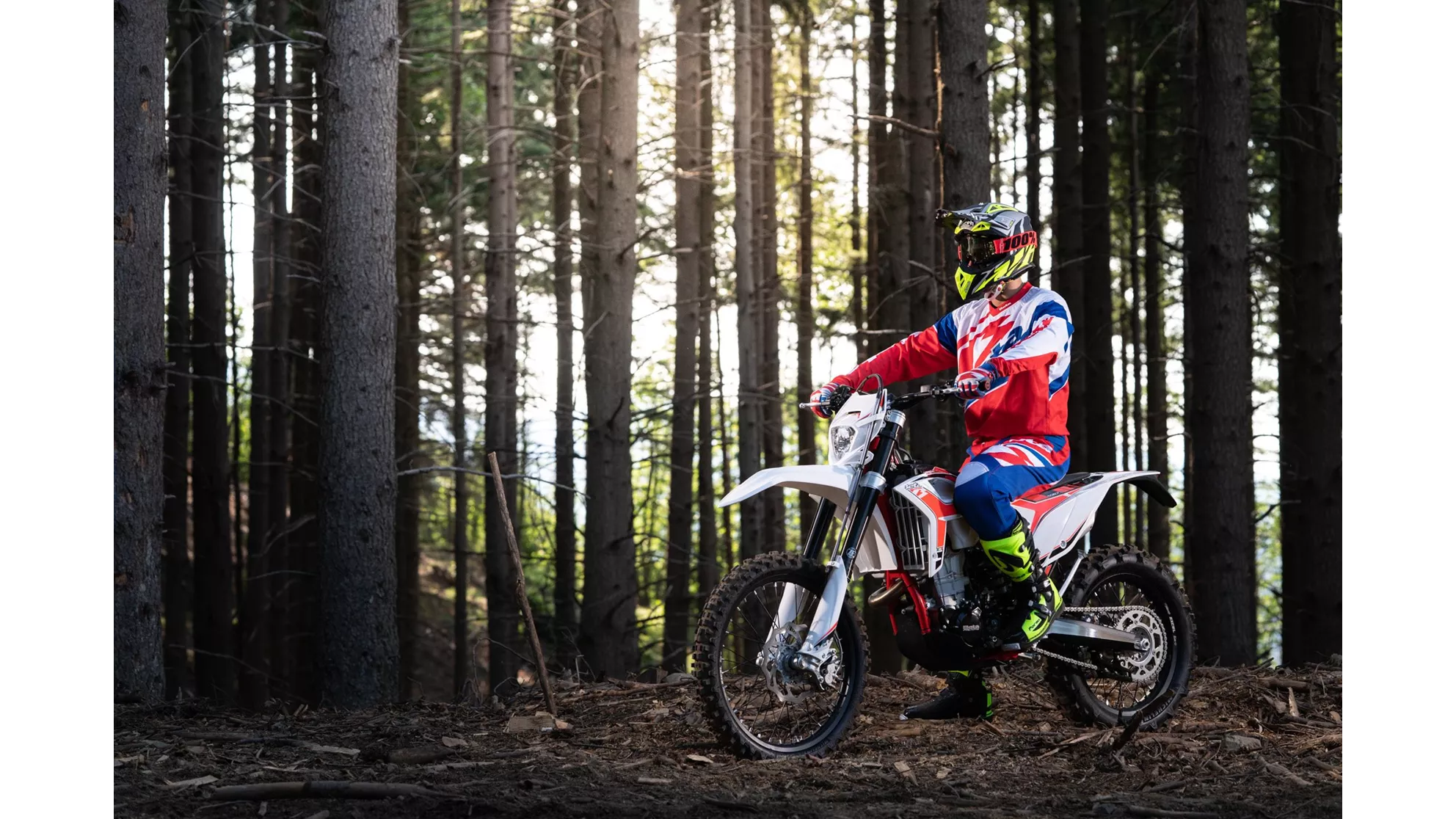 Beta RR 390 - Image 16 Beta RR 390 - Image 16